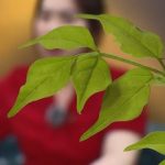 Cưới chạy bầu, cô gái bị cả gia đình hai bên ruồng bỏ cuoi chay bau 1747141940 815 width740height495 auto cropjpg