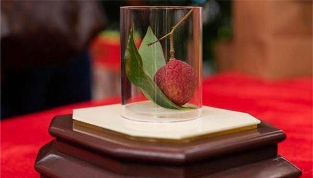 Có gì trong quả vải thiều giá lên tới gần 2 tỷ đồng, người có tiền cũng chưa chắc mua được?- Ảnh 2.