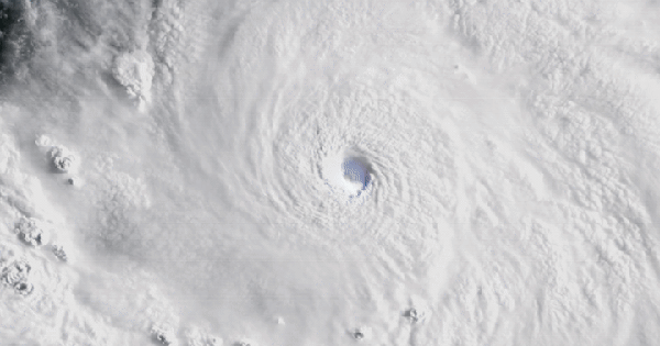 Siêu bão đáng sợ nhanh nhất năm nay đã xuất hiện: Vệ tinh ghi lại cảnh tượng kỳ dị d7ok9s4zumnyxdvzg6wy6q 1755579455993513064401 1755586107692 1755586107908411621875 0 17 450 737 crop 17555861316021816741890gifpng