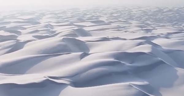 Sự thật choáng ngợp đằng sau bức ảnh “vô thực” như tranh vẽ d8057928 1737535442093619967623 1737561243099 17375612434781219350100 45 0 420 600 crop 17375612744681632188140png