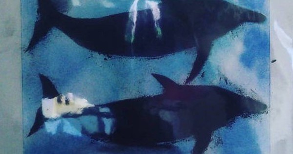 Bức tranh cá heo đen của một bé gái lớp 1 vẽ khiến toàn mạng bàn luận 27 Bức tranh cá heo đen của một bé gái lớp 1 vẽ khiến toàn mạng bàn luận d8305986 17525633378792006798937 1752565297173 1752565297317552863643 0 22 316 528 crop 1752565319277464998558jpg