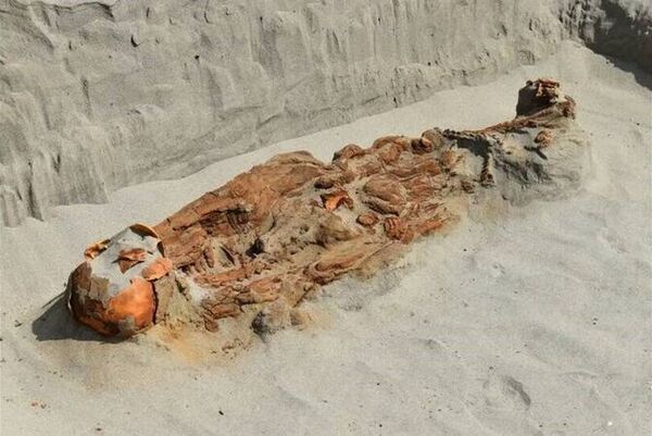 Phát hiện chấn động bên trong ngôi mộ 2.300 năm tuổi- Ảnh 2. Phát hiện chấn động bên trong ngôi mộ 2.300 năm tuổi- Ảnh 2.