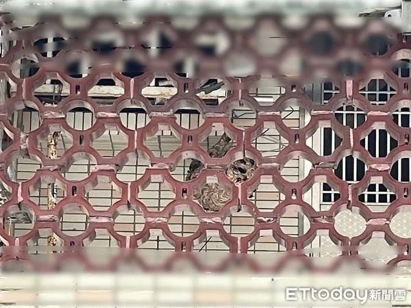 Dọn dẹp ban công, người phụ nữ bị