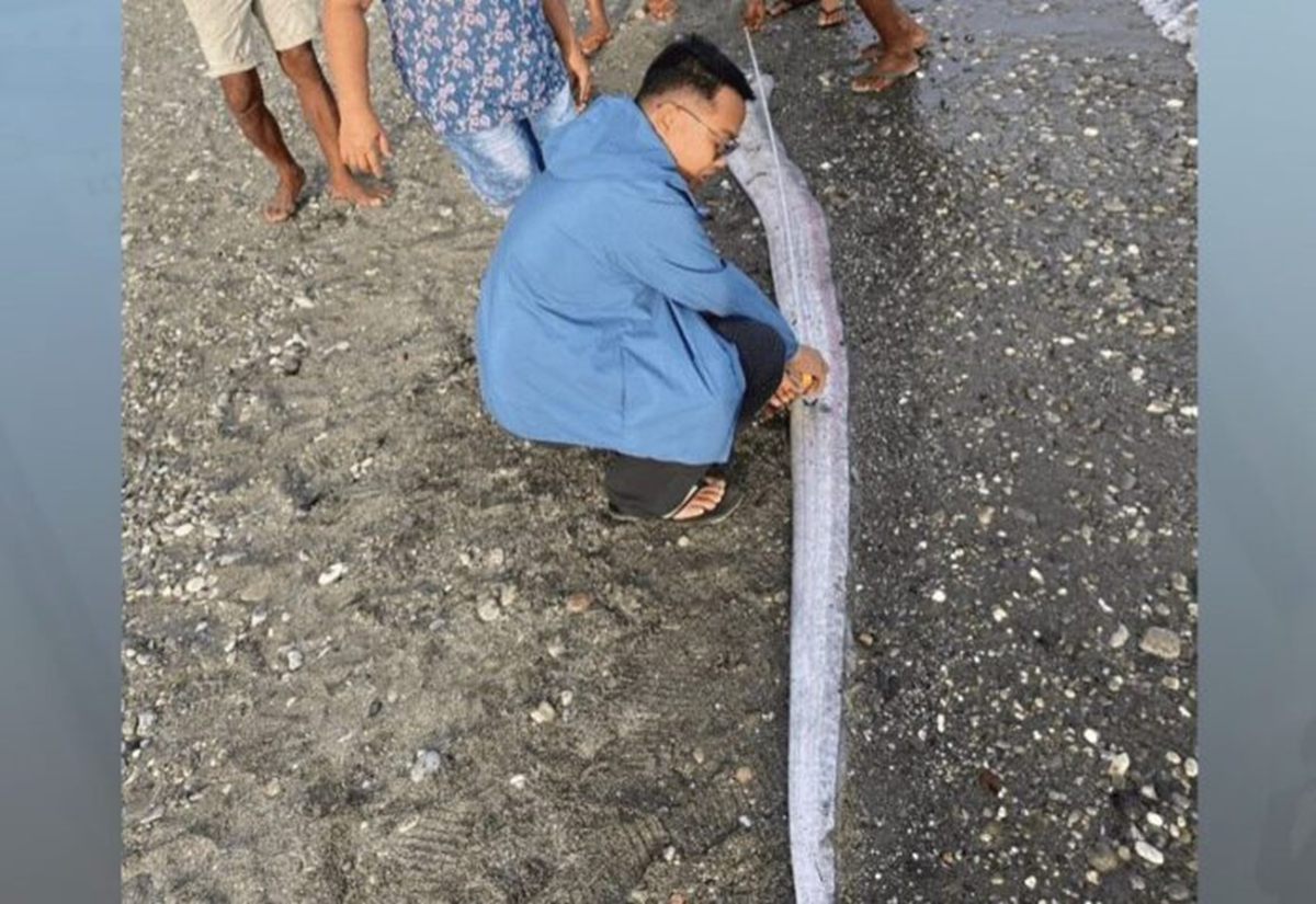 Đang đi dạo biển, người dân bỗng phát hiện cảnh tượng Đang đi dạo biển, người dân bỗng phát hiện cảnh tượng