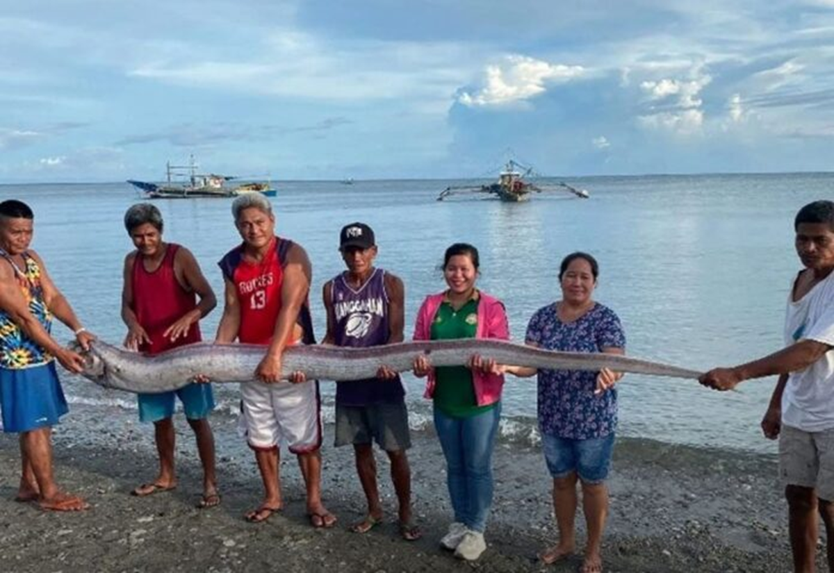 Đang đi dạo biển, người dân bỗng phát hiện cảnh tượng Đang đi dạo biển, người dân bỗng phát hiện cảnh tượng