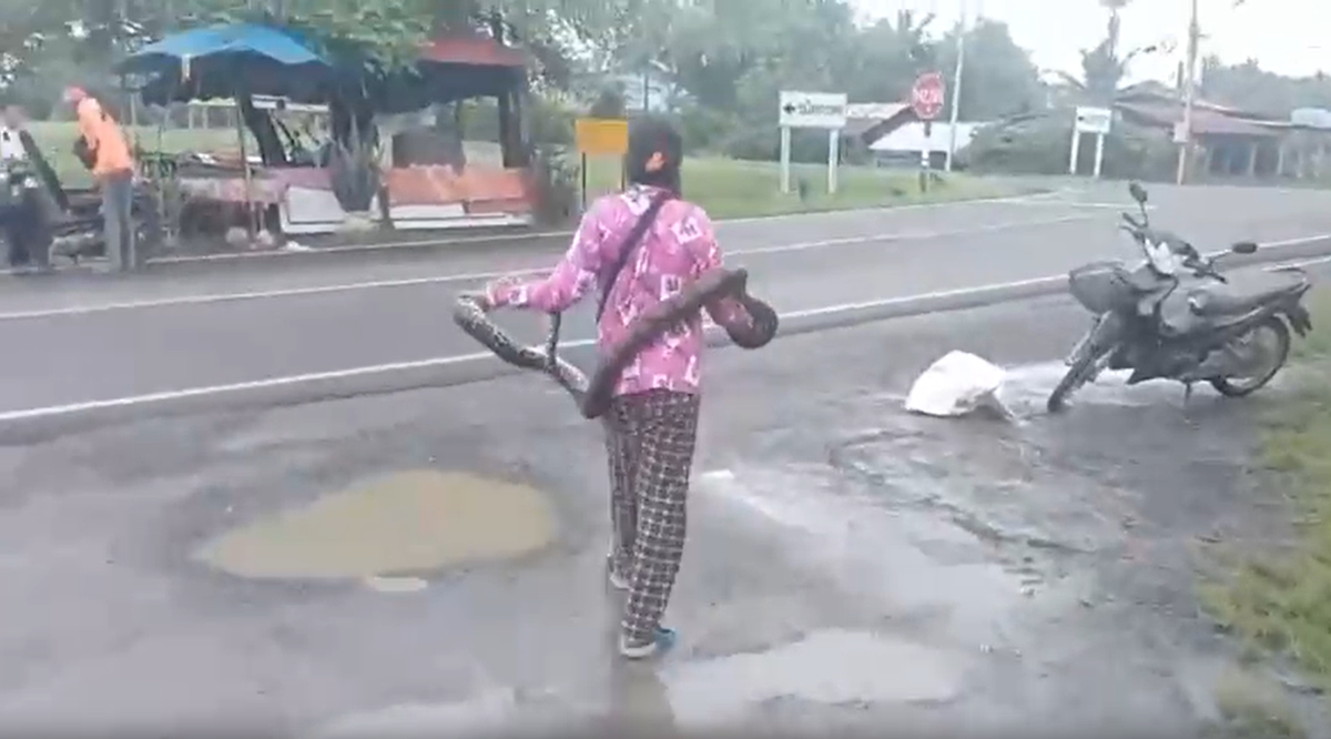 Đang đi dạo, bất ngờ thấy cảnh tượng