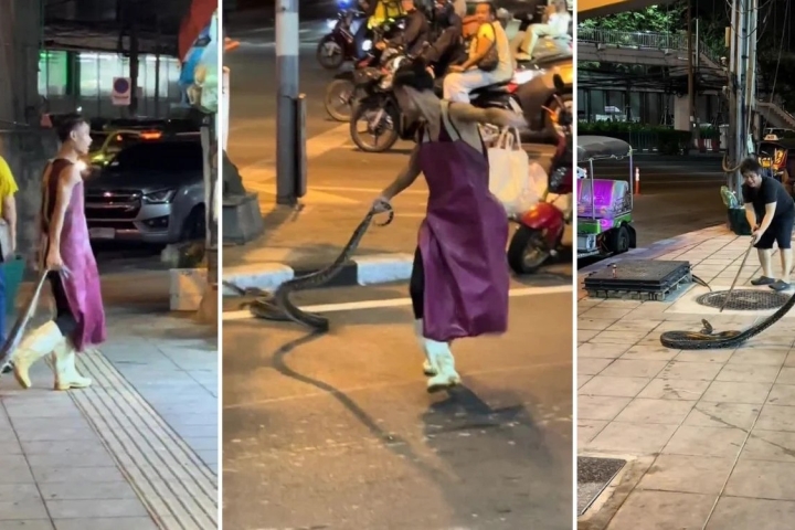 Người đàn ông trổ tài bắt rắn khổng lồ bằng tay không và cái kết bất ngờ- Ảnh 1.