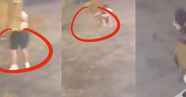 Đang lau bàn ghế, nam thanh niên 18 tuổi nặng hơn 100kg bị gió thổi bay 27 Đang lau bàn ghế, nam thanh niên 18 tuổi nặng hơn 100kg bị gió thổi bay dang don dep nam thanh nien 18 tuoi nang 100kg bi gio thoi bay 17498036793901634940053 1749912913184 17499129134101840643083 2 66 632 1074 crop 1749912946772117293285png