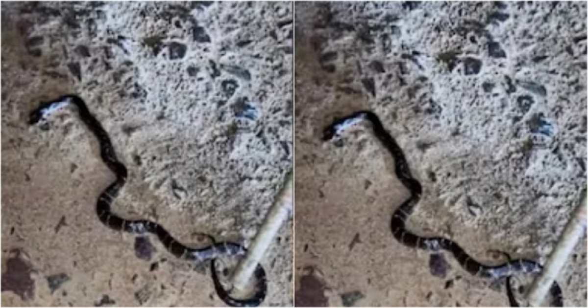 Đang ngồi xem tivi, 2 con tử vong, bố nguy kịch, sự thật bất ngờ phía sau nhà- Ảnh 1.