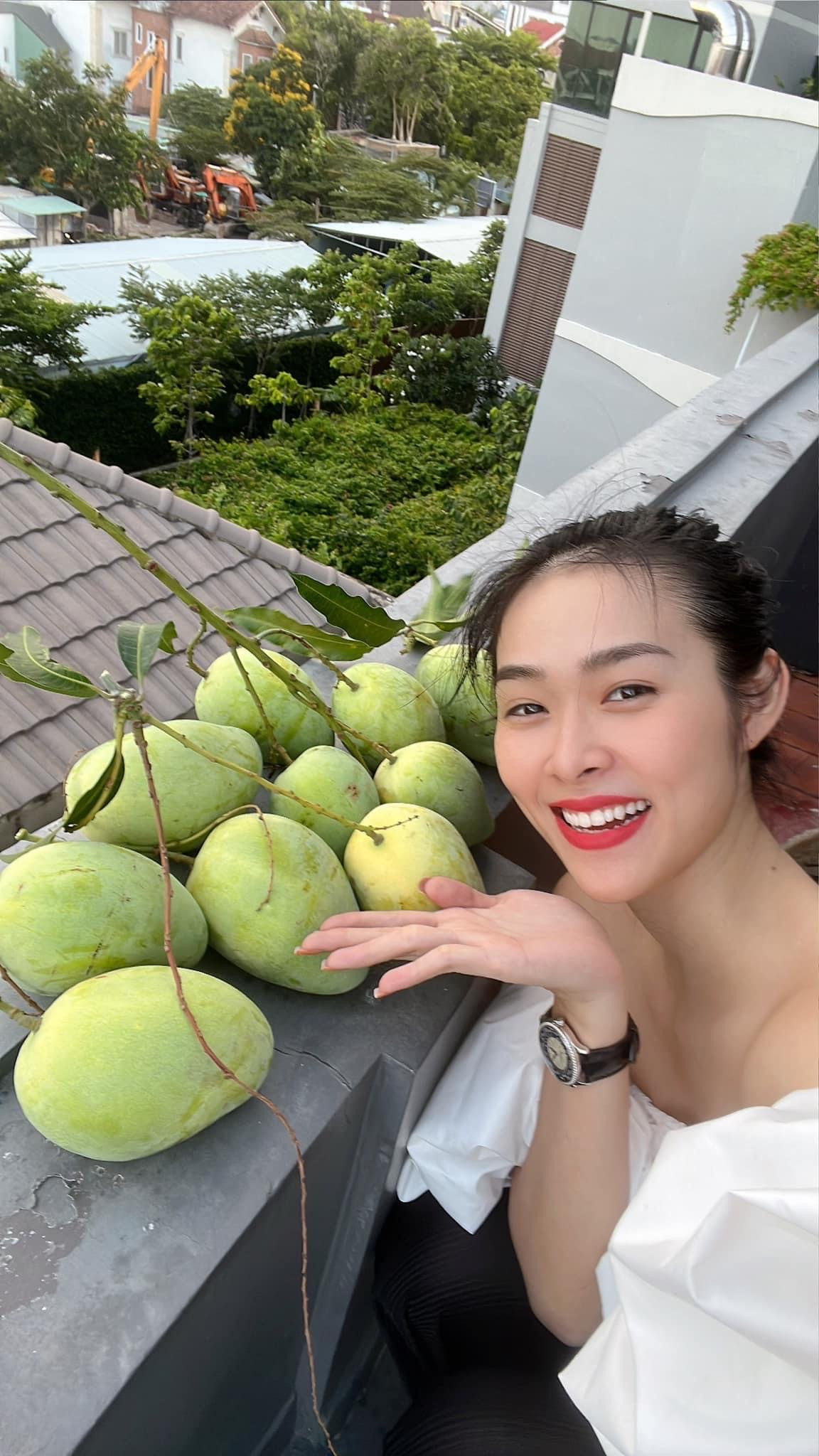 Nữ diễn viên ở nhà phố 100m2: Ly hôn năm 22 tuổi, 10 năm sau có 3 công ty, yêu bạn trai 9 năm không cưới- Ảnh 2. Nữ diễn viên ở nhà phố 100m2: Ly hôn năm 22 tuổi, 10 năm sau có 3 công ty, yêu bạn trai 9 năm không cưới- Ảnh 2.