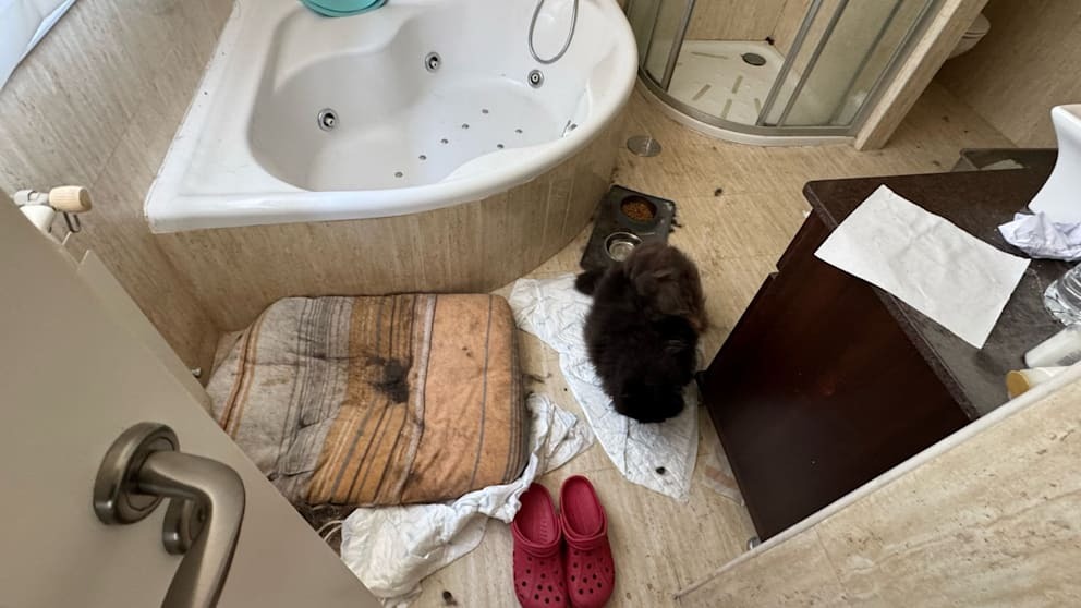 Bố mẹ bị bắt khi nhốt 3 con trong nhà suốt 4 năm vì sợ dịch bệnh, xúc động giây phút các bé lần đầu được ra ngoài- Ảnh 4.