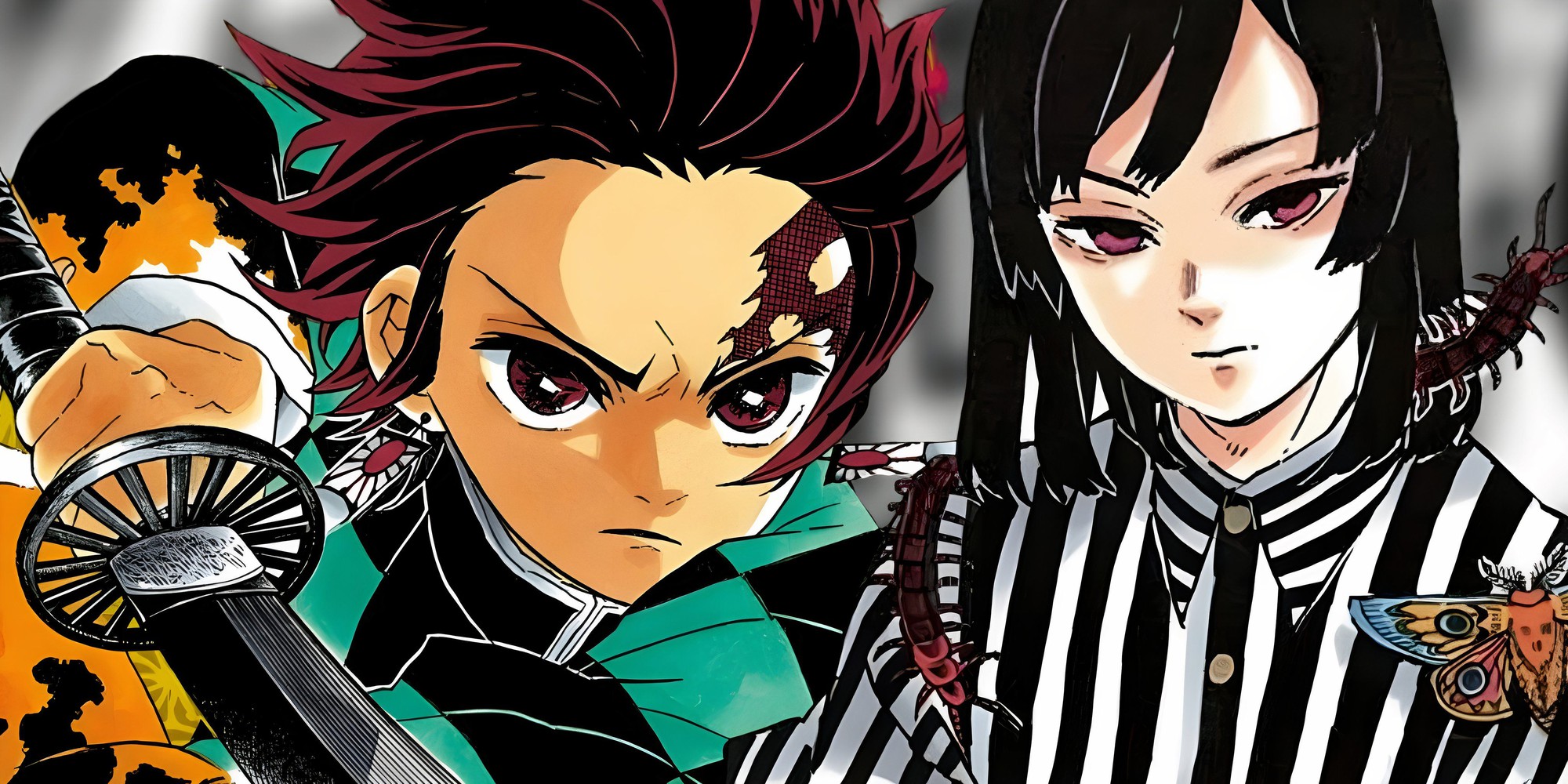 Manga tiếp theo của Gotouge đã được hé lộ và có thể sẽ hay hơn Kimetsu no Yaiba- Ảnh 1.