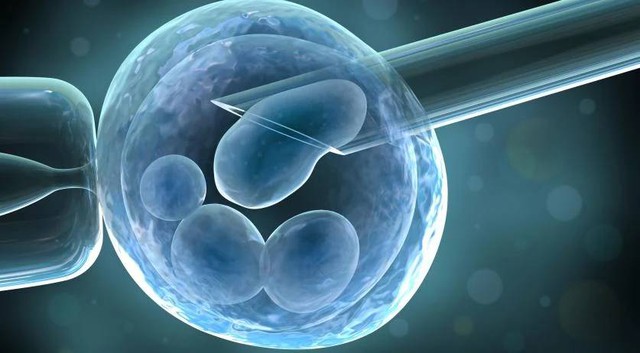 Bê bối hiến tinh trùng chấn động Hà Lan: Nhiều người đối mặt nguy cơ Bê bối hiến tinh trùng chấn động Hà Lan: Nhiều người đối mặt nguy cơ