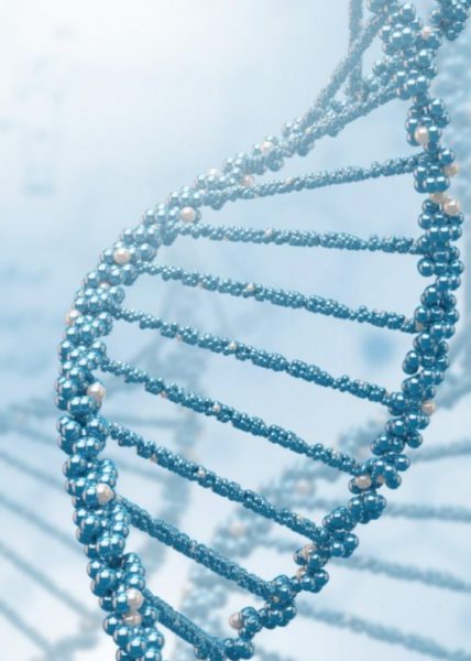 Đằng sau cái chết đau lòng của Hoàng tử châu Âu ở tuổi 22: Sinh mệnh như