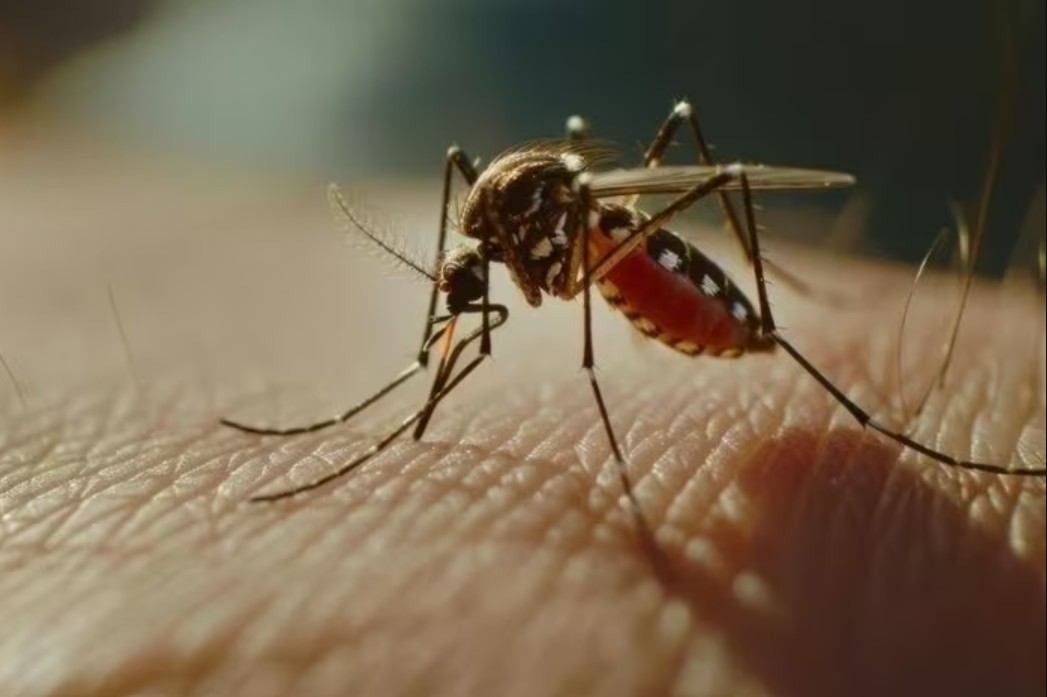 Loại virus khiến Trung Quốc phải kích hoạt kiểm soát dịch như thời Covid-19 đã xuất hiện ở quốc gia khác- Ảnh 3.