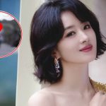 Bức ảnh vạch trần sự giả dối của Triệu Lệ Dĩnh dinh9a 1736438570251124527039 0 0 1072 2048 crop 17364385816601992829991jpg