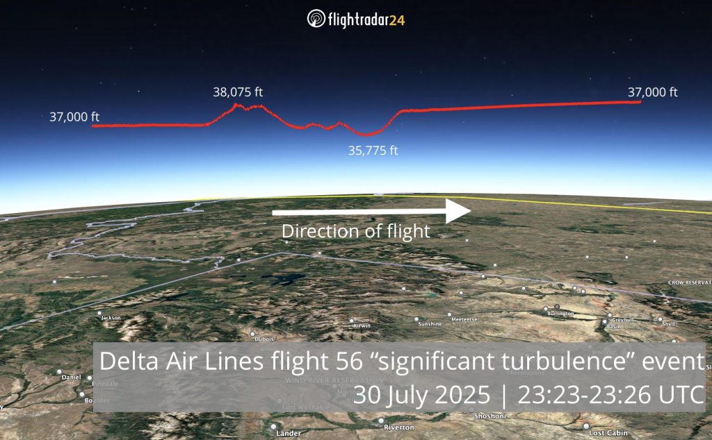 Máy bay hạ cánh khẩn cấp, 25 hành khách nhập viện- Ảnh 3.