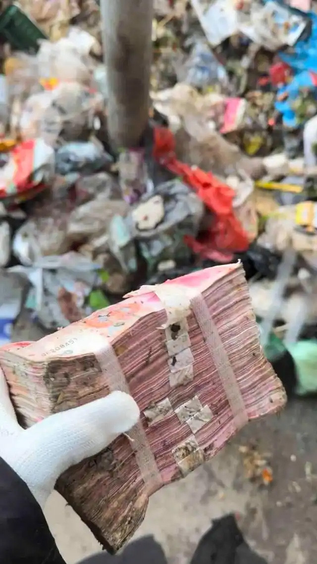 Dọn nhà, cặp đôi vứt nhầm gần 800 triệu đồng tiền mặt vào thùng rác- Ảnh 1. Dọn nhà, cặp đôi vứt nhầm gần 800 triệu đồng tiền mặt vào thùng rác- Ảnh 1.