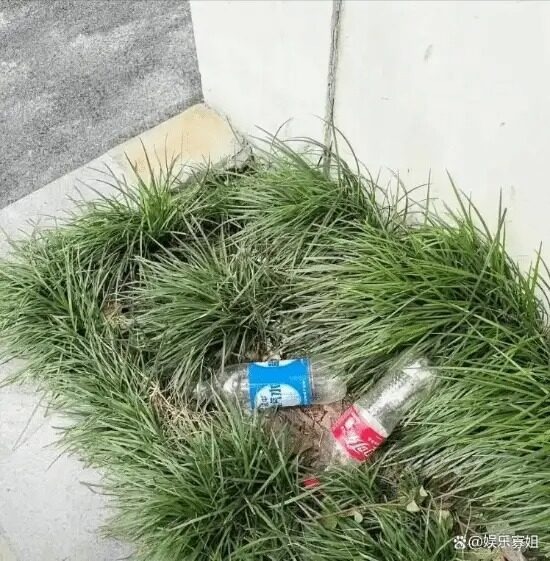 2 bức ảnh “trời ơi đất hỡi” khiến mỹ nhân Reply 1988 bị tấn công