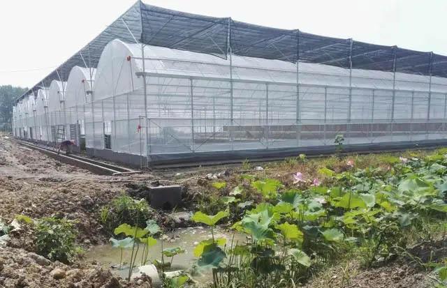 Người đàn ông 54 tuổi có khoản nợ xấu 450 tỷ đồng, tòa án phán quyết: “Giám đốc ngân hàng bị phạt 350 triệu đồng”- Ảnh 1.