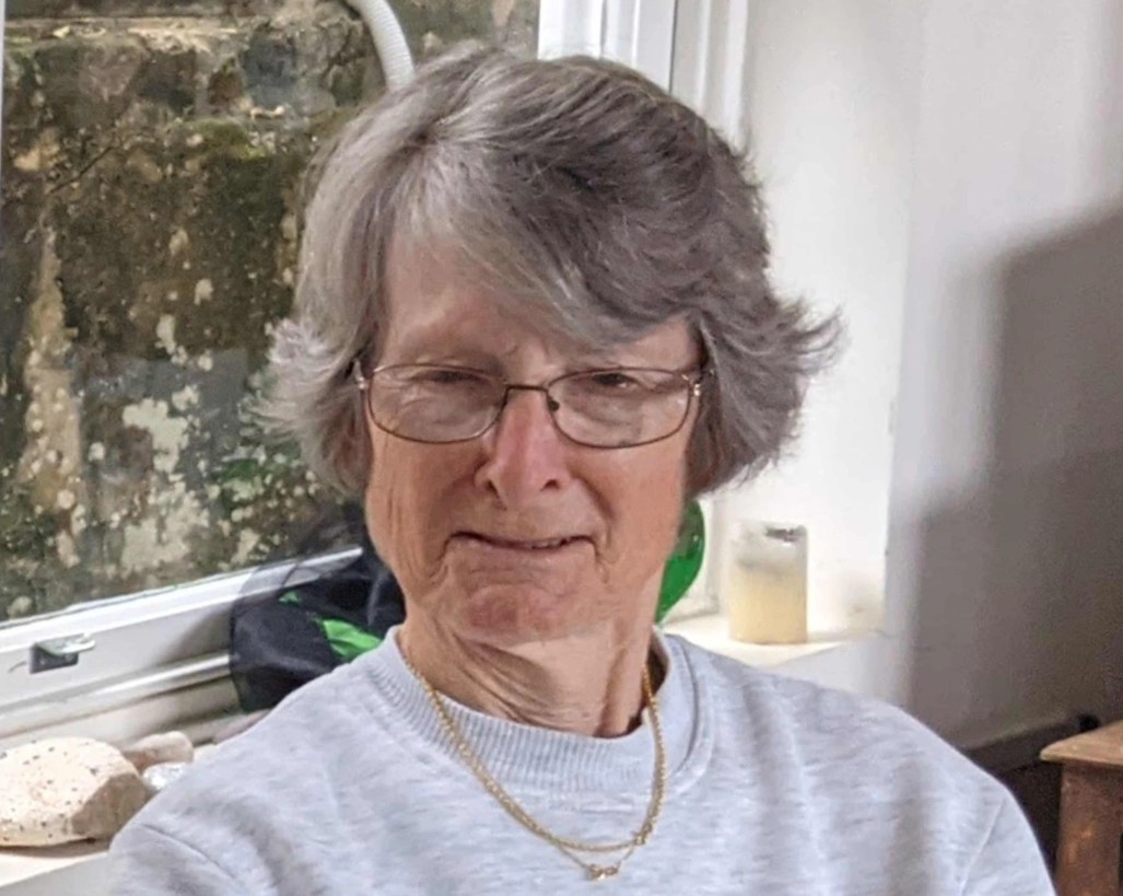 Nữ du khách bị du thuyền hạng sang