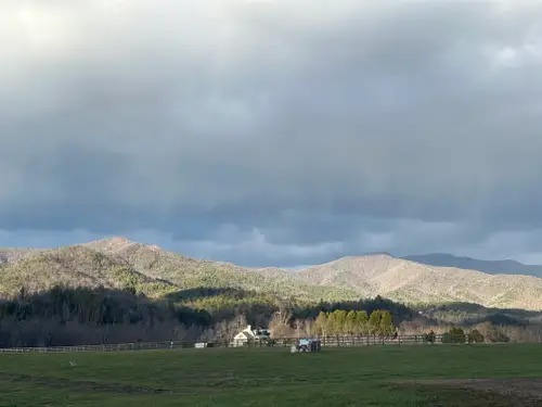 U60 bán 5 BĐS cho thuê trị giá 52 tỷ đồng, không đầu tư chứng khoán mà mua công trình bỏ hoang 15 năm: ‘Chưa hồi vốn nhưng đổi lại thứ vô giá’- Ảnh 1.