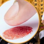 Lấy dấu vân tay của người đã khuất làm giả giấy nợ, người phụ nữ lĩnh án tù e7efd0d3 7732 4653 bbb9 682432466a01b994958d 1 10123350 1760693990896 17606939915301852639087 18 0 468 720 crop 1760694025569586797407jpeg