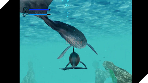 Thương Hiệu Game Siêu Cổ Ecco the Dolphin Bất Ngờ Quay Trở Lại Sau 25 Năm Vắng Bóng