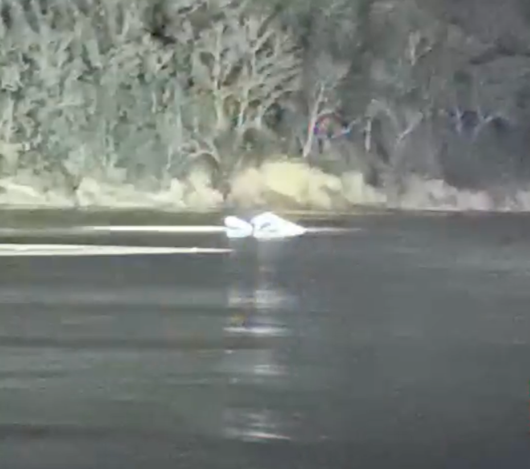 Máy bay trực thăng lại rơi xuống sông ở Mỹ, 3 hành khách thiệt mạng- Ảnh 2.