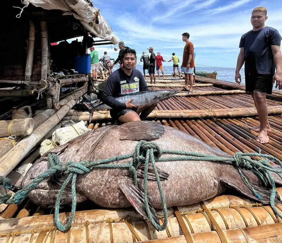Ngư dân bắt được con cá mú khổng lồ nặng 194kg trên biển- Ảnh 2.