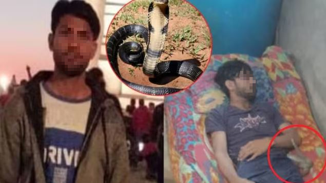 Nam thanh niên 25 tuổi tử vong sau khi bị rắn cắn 10 lần trong khi ngủ- Ảnh 1.