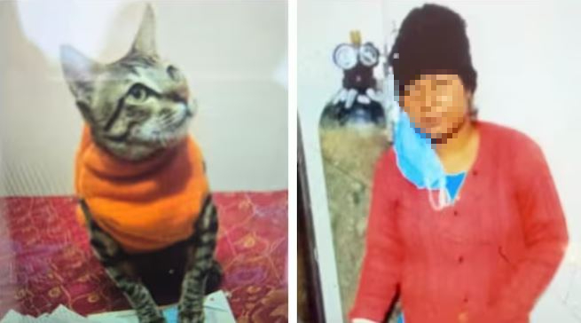 Người phụ nữ 32 tuổi tự tử vì mèo cưng qua đời- Ảnh 1.