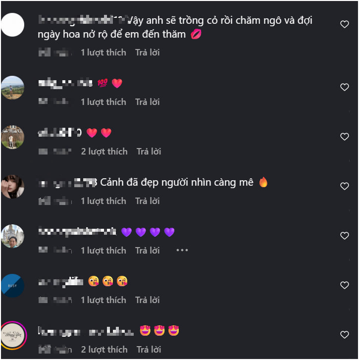 Ngắm bộ ảnh cưỡi ngựa cực