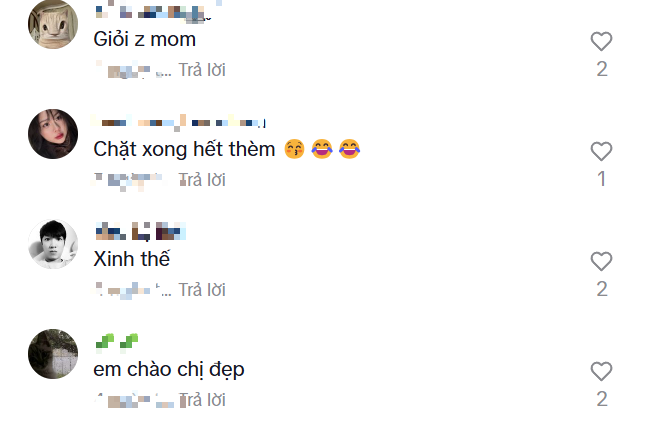 Làm clip bổ dừa, Quỳnh Alee nhận về nhiều bình luận khen chê- Ảnh 9.