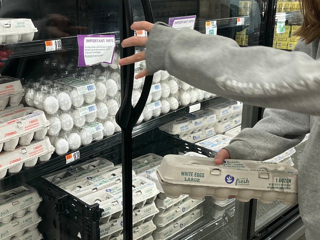 Nước Mỹ khủng hoảng vì hết trứng: Giá trứng tăng gây đau đầu hơn cả giá vàng tăng, vì đâu có tình cảnh lạ này?- Ảnh 1. Nước Mỹ khủng hoảng vì hết trứng: Giá trứng tăng gây đau đầu hơn cả giá vàng tăng, vì đâu có tình cảnh lạ này?- Ảnh 1.