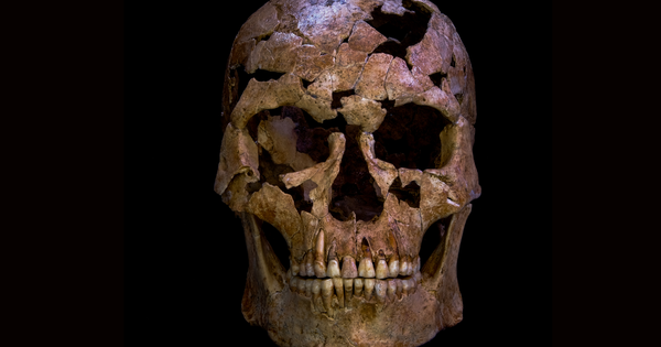 Một mũi tên thạch anh kỳ lạ có thể đã giết chết một người đàn ông cách đây 12.000 năm ehsvt5kc6eg45ddeaqwrx3 1756271840270 17562718421281172531225 1756275974624 1756275974796166077365 0 47 1125 1847 crop 17562760023732032642210png