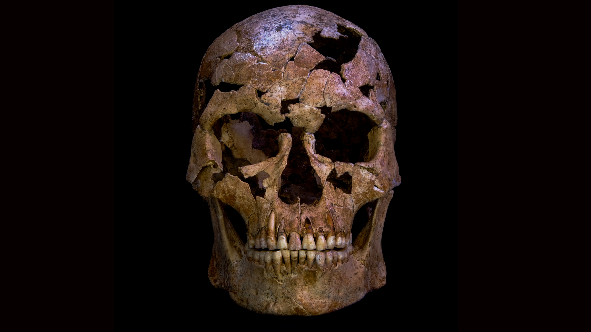 Một mũi tên thạch anh kỳ lạ có thể đã giết chết một người đàn ông cách đây 12.000 năm- Ảnh 1.