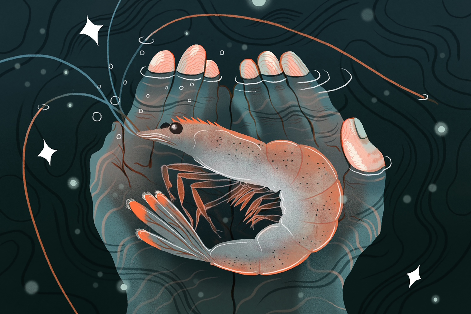 Tầm quan trọng của con tôm và câu hỏi triết học khiến nhân loại đau đầu- Ảnh 1.