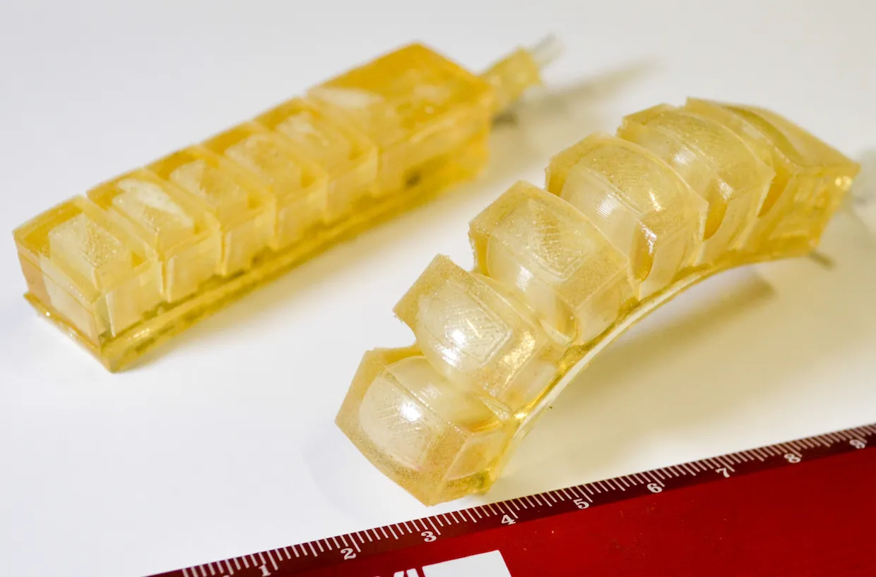 Robot này ăn được- Ảnh 3. Robot này ăn được- Ảnh 3.