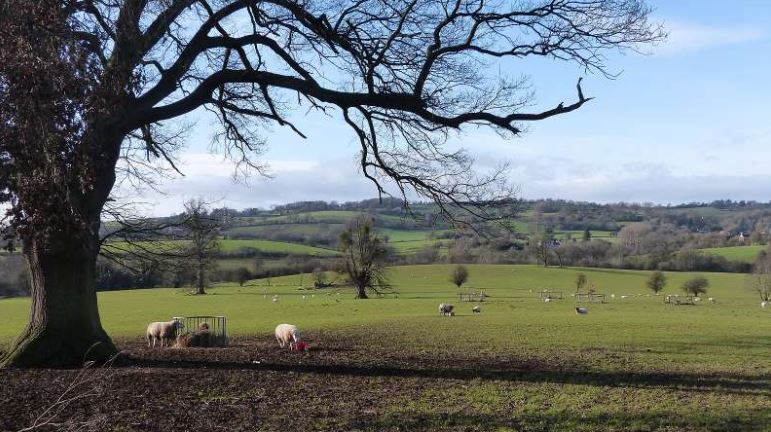 2 người đàn ông đào được “hũ vàng” trị giá hơn 140 tỷ đồng, 4 năm sau bất ngờ bị cảnh sát bắt giữ- Ảnh 1.