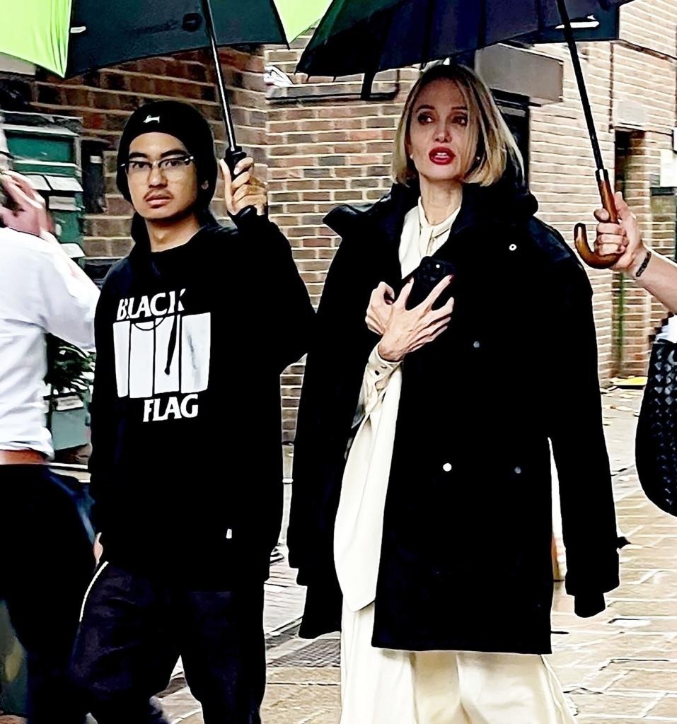 Đây mà là Angelina Jolie sao?- Ảnh 6.