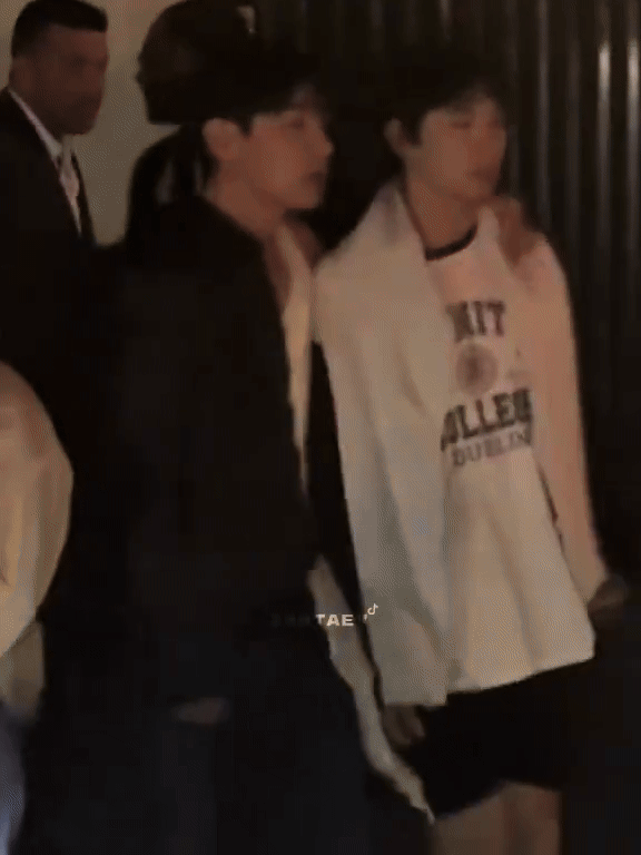 Bắt gọn V (BTS) và Park Bo Gum