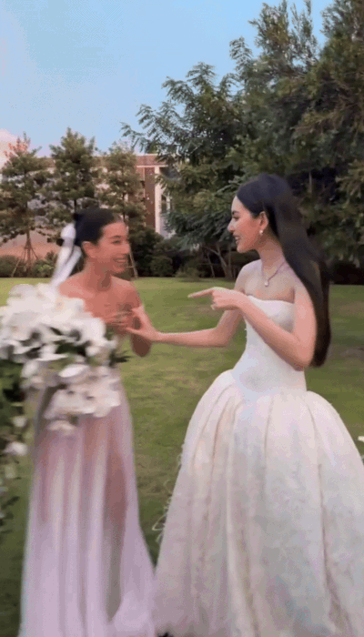 Ngắm đám cưới của