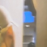 Đột kích quán bar bắt giữ 1 nam ca sĩ quen mặt trong showbiz ezgif 30b3a8f175da01 1758433144049145226422 0 0 335 640 crop 1758433176269952864699gifpng