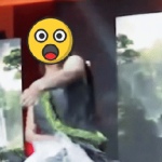 1 Hoa hậu đột nhiên múa may, uốn éo khó hiểu giữa sân khấu gây bão MXH ezgif 6c16c4d15dc32d 17449653246261160674807 22 0 379 682 crop 1744965352997607618345gifpng