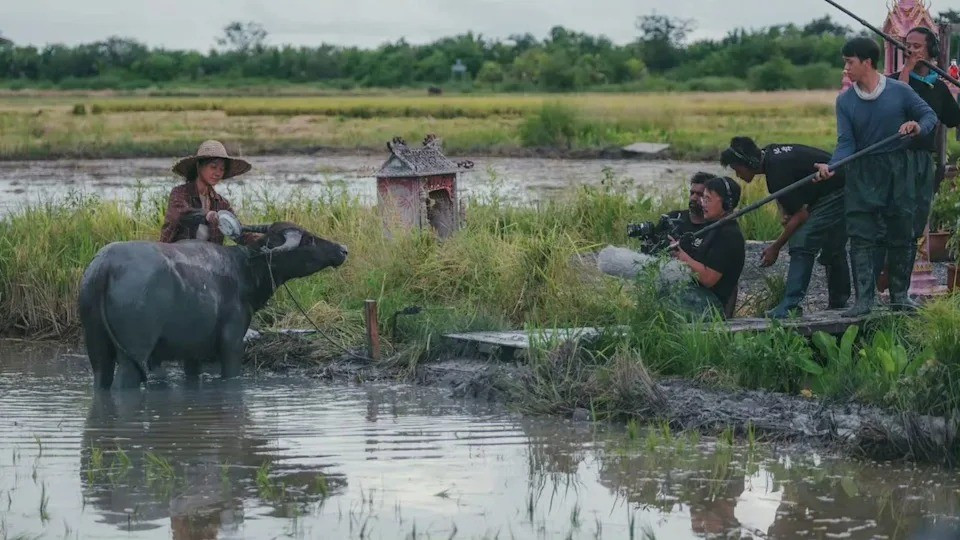 Phạm Băng Băng khóc nức nở khi thắng Ảnh hậu Kim Mã- Ảnh 3.