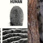 Những sự thật kỳ lạ trên thế giới mà ai cũng nghĩ là "fake", nhưng hóa ra thật 100% fffs2020 6 1 1024x536 17621545298391619928126 1762158976748 17621589769751382514733 0 86 536 944 crop 17621589962851082854397jpg