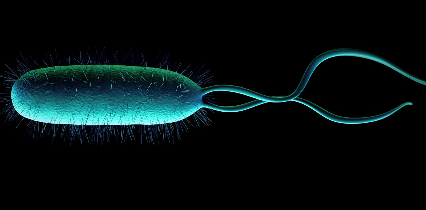 Nếu sự sống có thể tồn tại trong dạ dày của bạn thì nó có thể sẽ tồn tại trên Sao Hỏa?- Ảnh 2. Nếu sự sống có thể tồn tại trong dạ dày của bạn thì nó có thể sẽ tồn tại trên Sao Hỏa?- Ảnh 2.