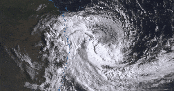 Cơn bão hiếm gặp 50 năm mới xuất hiện sắp đổ bộ: Cả nước Úc “nín thở” tránh bão, hàng triệu người phải đối mặt với "kịch bản tồi tệ nhất" file 20250305 62 ptxfy4 1741159360406823495401 44 0 444 640 crop 17411593650791056397960gifpng