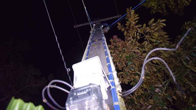 Tối vẫn không thấy con trai trở về, mẹ đi tìm thì ngất xỉu khi thấy con đang nằm bất động trên cây- Ảnh 2.